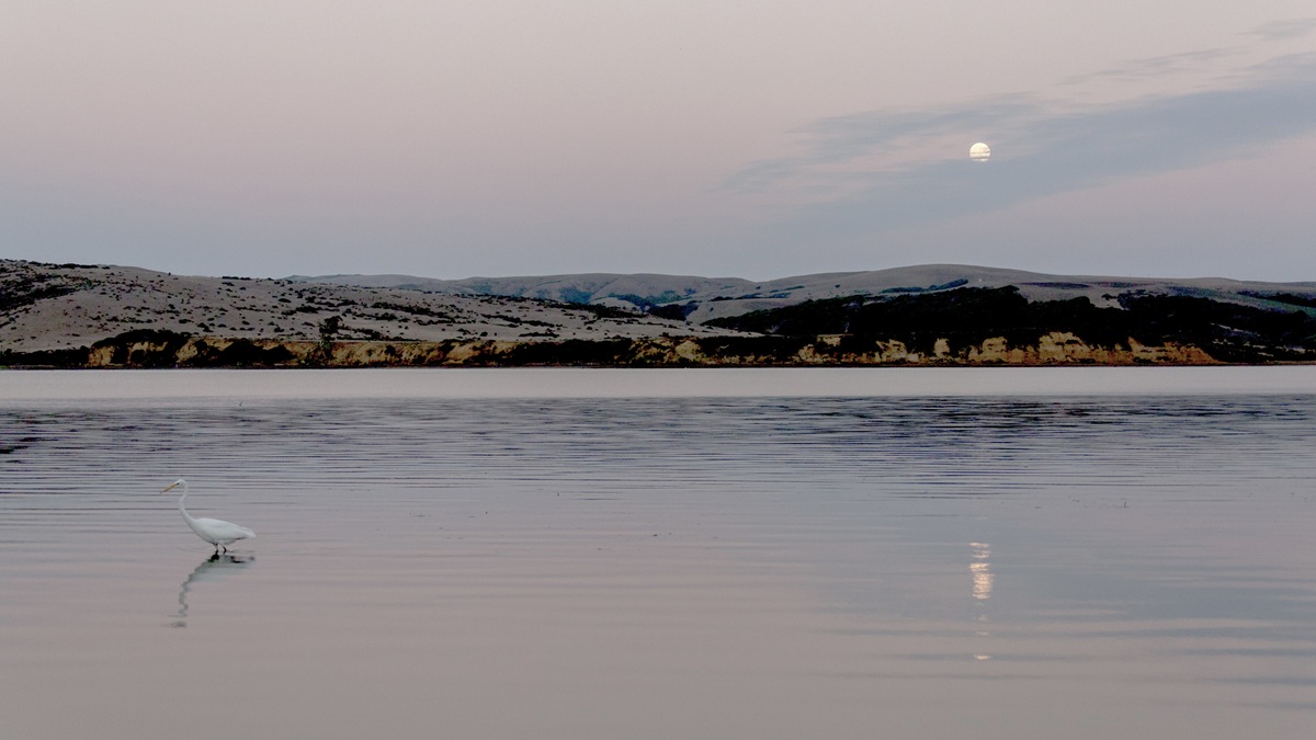 Tomales Moonrise - Photo: S.Skower